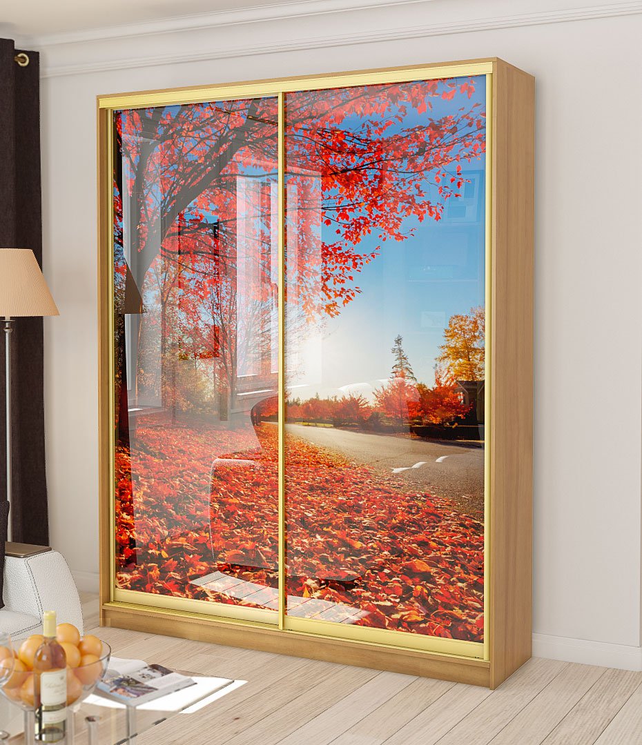 Шкаф-купе Leonardo (артикул 763)